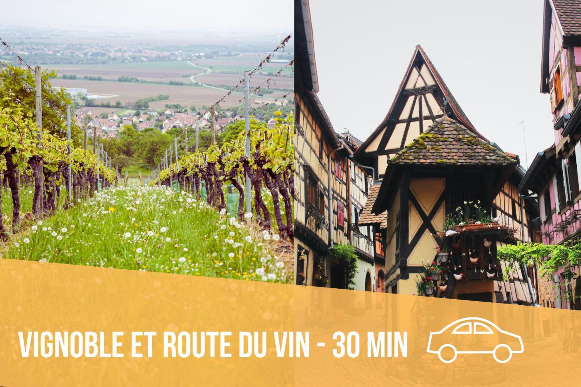Les Pinots D'Alsace - 3 Bungalows Climatises Avec Tv - Proche Europa Park Boofzheim Room photo